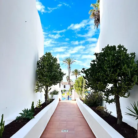 Sunny Americas-ocean View-heated Pool 公寓 *